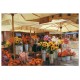 CAMPO DE FIORI