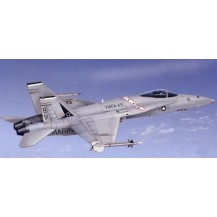 F-18 HORNET VMFA 451 WARLORD, 1/48 (MONTADO Y PINTADO)