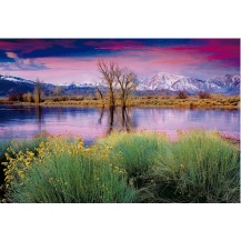 LA RENDICION DEL VERANO