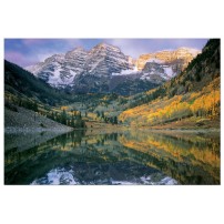 MAROON BELLS