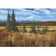 PARQUE NACIONAL DENALI-USA