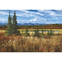 PARQUE NACIONAL DENALI-USA