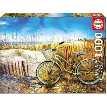 BICICLETA EN LAS DUNAS