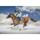 FINAL DE WHITE TURF, SAINT MORIT