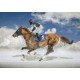 FINAL DE WHITE TURF, SAINT MORIT