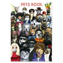 PETS ROCK