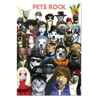 PETS ROCK