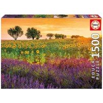 CAMPO DE GIRASOLES Y LAVANDA