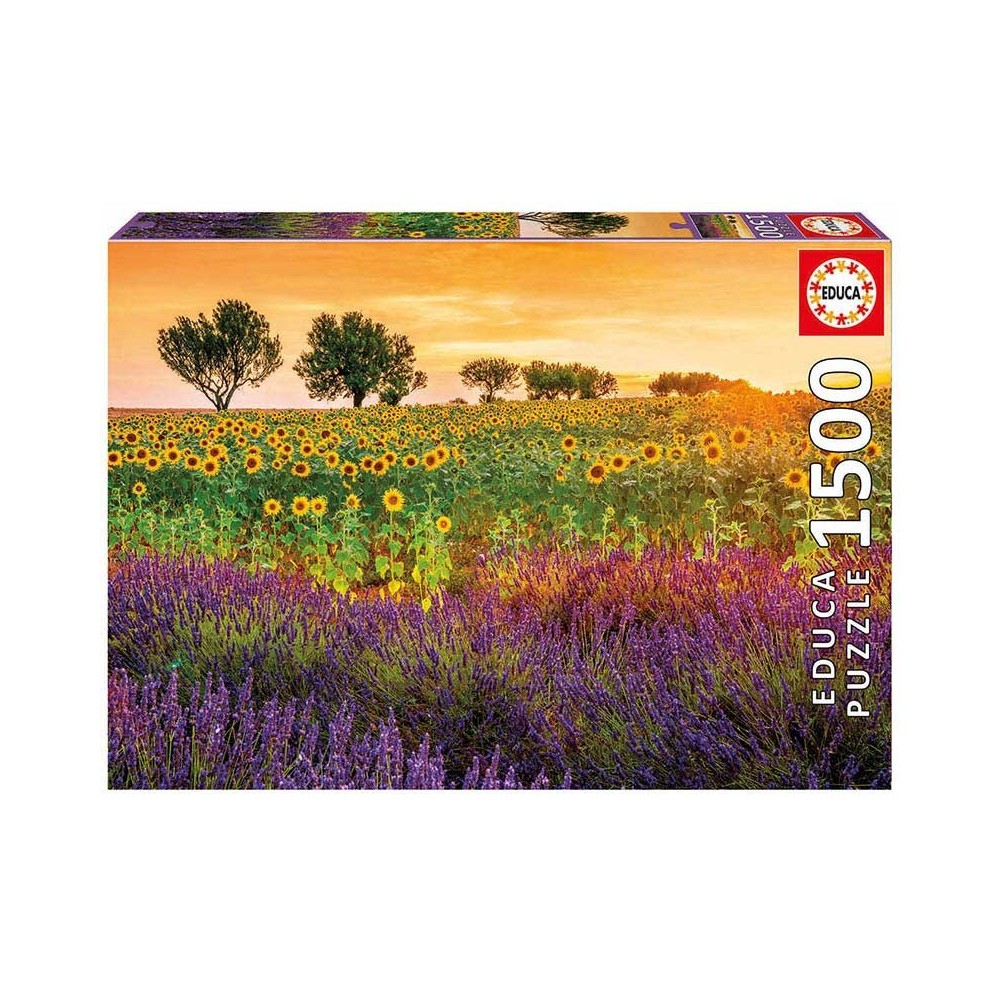 CAMPO DE GIRASOLES Y LAVANDA