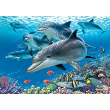 PARAISO BAJO EL MAR