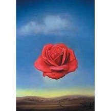 ROSA MEDITATIVA, SALVADOR DALI