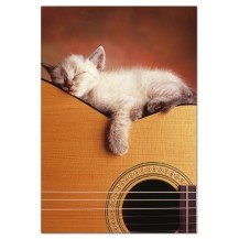 MI GUITARRA