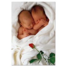 SLEEPING BABIES WHITH ROSA