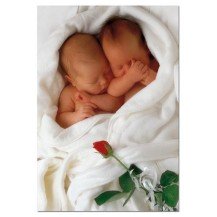 SLEEPING BABIES WHITH ROSA