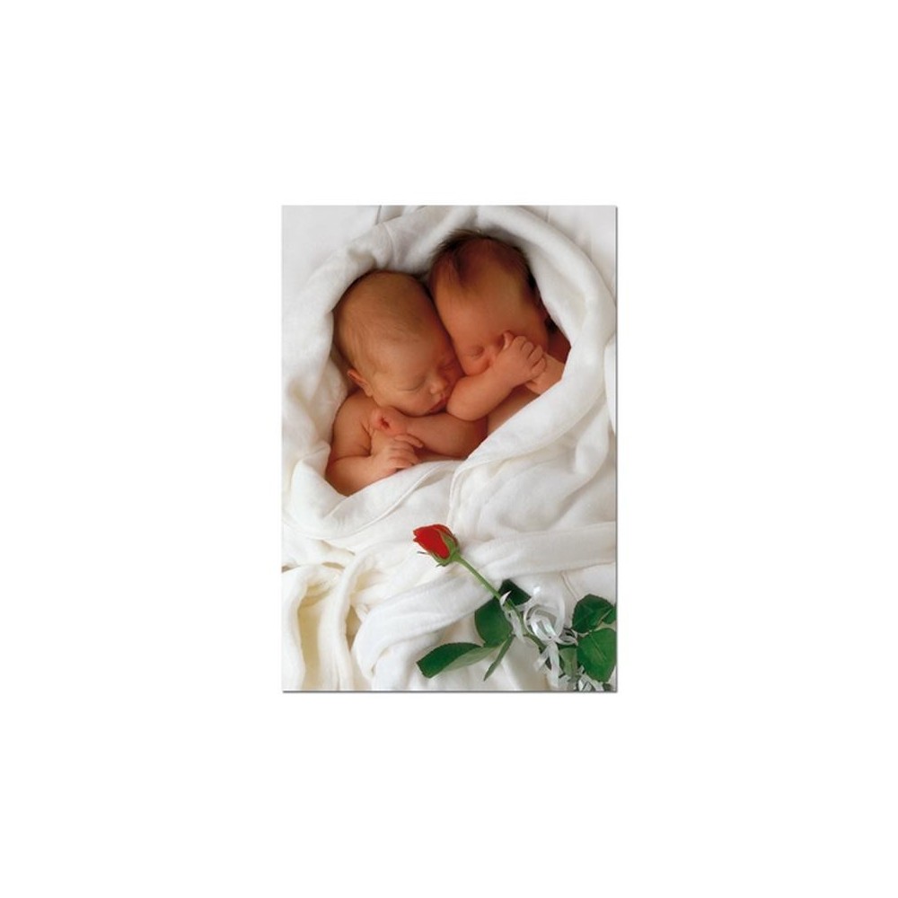 SLEEPING BABIES WHITH ROSA