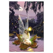 LA PRINCESA DE LAS HADAS