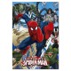 ULTIMATE SPIDER MAN