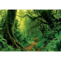 EL BOSQUE ENCANTADO