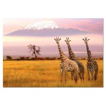 PARQUE NACIONAL AMBOS