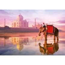 ELEFANTE EN EL TAJ MAHAL