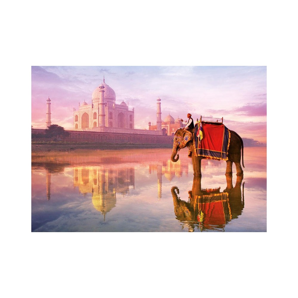 ELEFANTE EN EL TAJ MAHAL