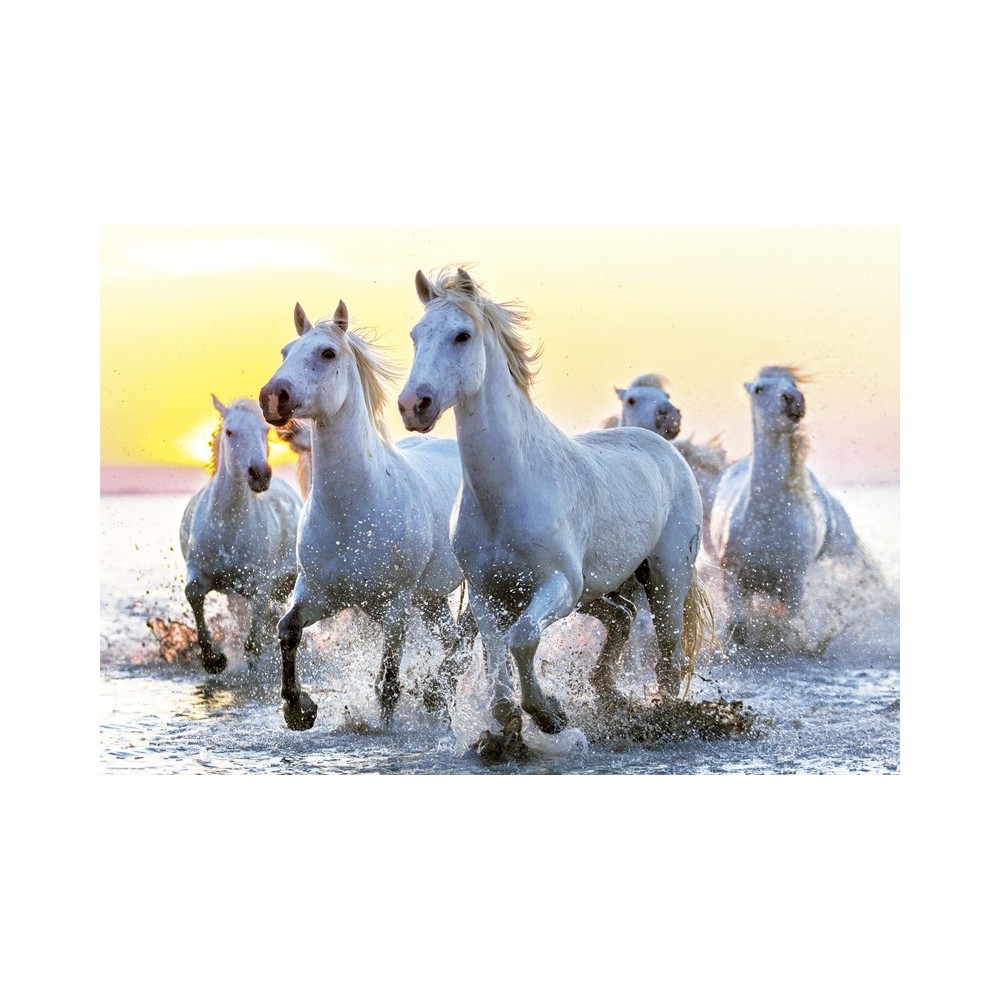 CABALLOS BLANCOS AL ATARDECER