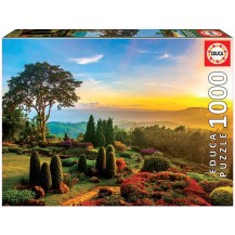 JARDIN PRECIOSO