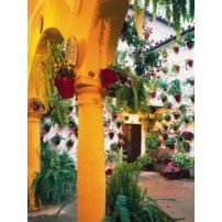 ANDALUCIA INTERIOR