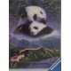 PANDAS