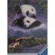 PANDAS