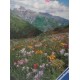 FLORES SILVESTRES ANTE MOUNT SNEFFLES