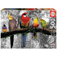 PAJAROS EN LA JUNGLA