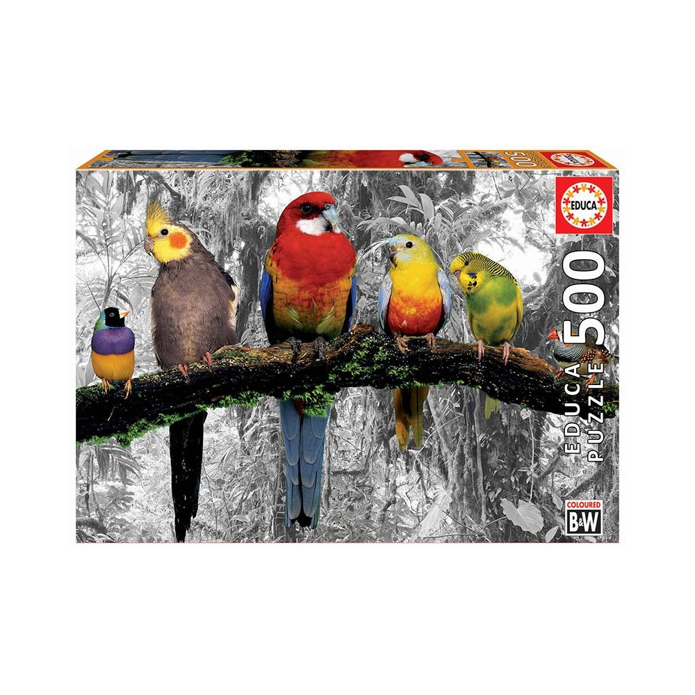 PAJAROS EN LA JUNGLA
