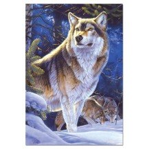 LOBO VIGILANDO