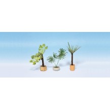 PLANTAS DECORATIVAS EN MACETAS