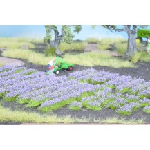 LAVANDA, 18 TIRAS