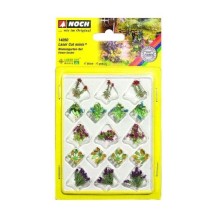 FLORES DE JARDIN