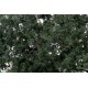 FOLLAJE DE HOJA FINA VERDE OSCURO