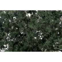 FOLLAJE DE HOJA FINA VERDE OSCURO