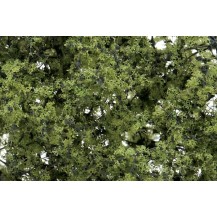 FOLLAJE DE HOJA FINA VERDE CLARO