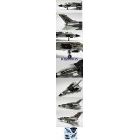 TORNADO IDS "BLACK PANTHERS" 1/48