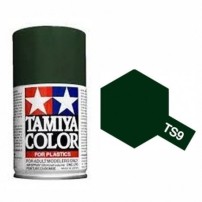 TS-9, SPRAY VERDE INGLES, 100 ML