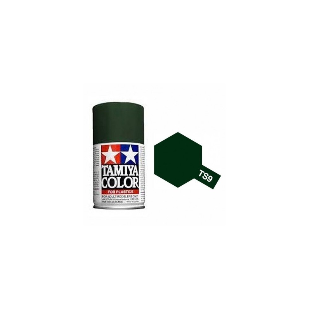 TS-9, SPRAY VERDE INGLES, 100 ML