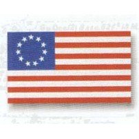 8305 BANDERA DE EE.UU