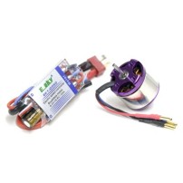 KING 2, MOTOR Y VARIADOR BRUSHLESS