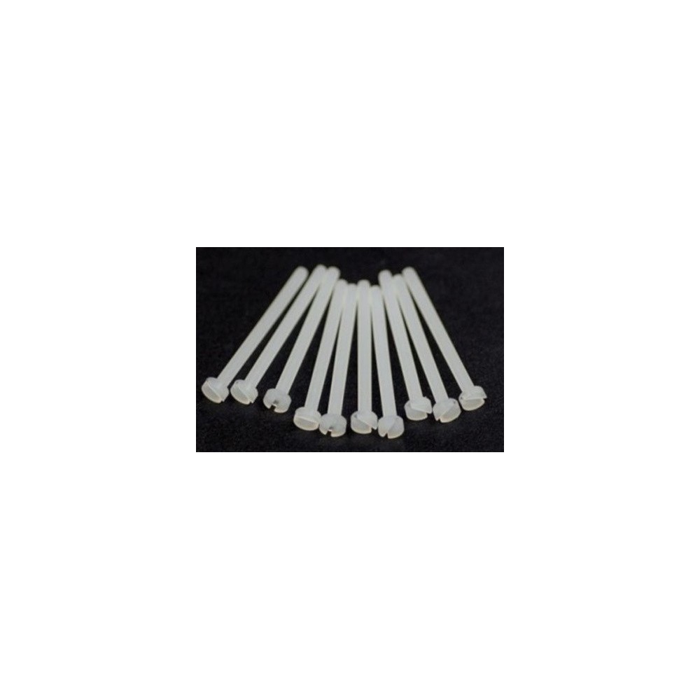 M2X25 MM, TORNILLO NYLON, 10 UNID