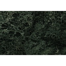 L164, MUSGO VERDE OSCURO
