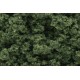 FC683, CLUMP FOLLAJE VERDE MEDIO