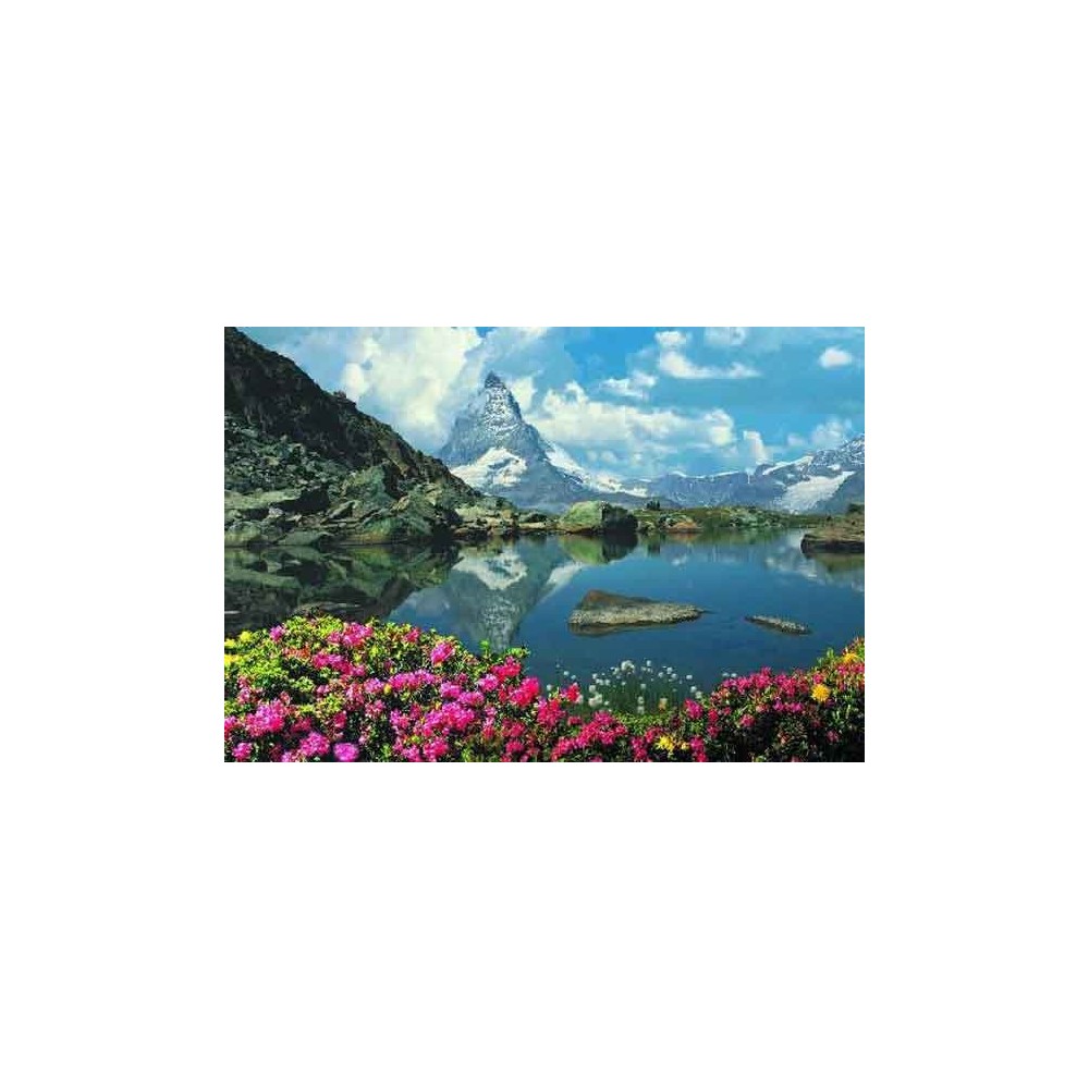 MONTE CERVIÑO 157X107
