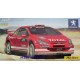 PEUGEOT 307 WRC 2004 R. DE L´ACROPOLIS, 1/43